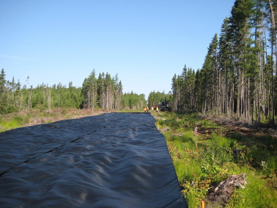 Укладка геоткани Geolon PP на грунтовую дорогу в лесу